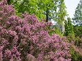 31 05 13_3256